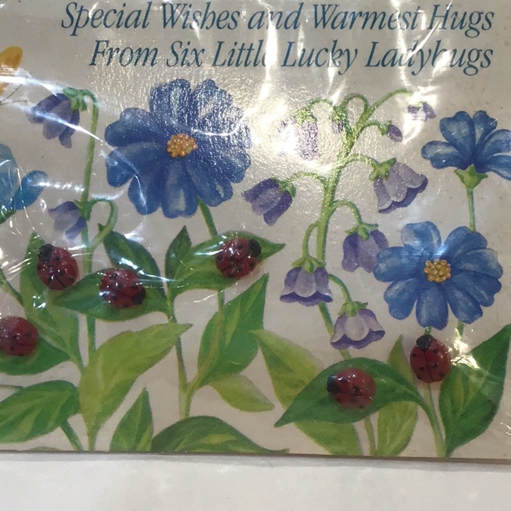 NWT 1984 Avon Ladybug buttons,  greeting card